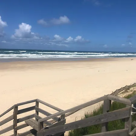 Location Dans Un Airial * Mimizan-Plage