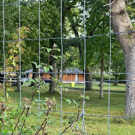 Location Dans Un Airial