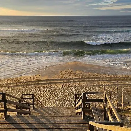 Location Dans Un Airial * Mimizan-Plage