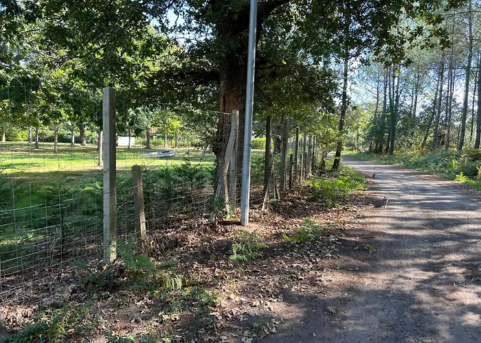 Location Dans Un Airial Casa de Campo Mimizan-Plage