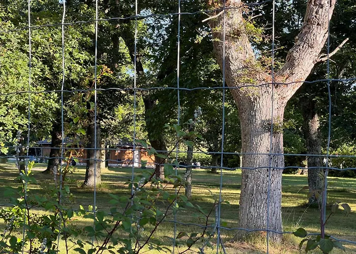 Location Dans Un Airial Mimizan-Plage