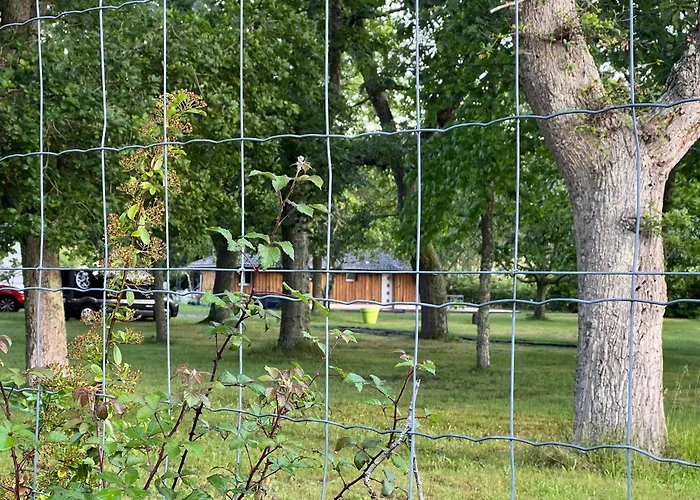 Location Dans Un Airial