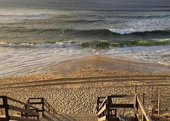 Location Dans Un Airial * Mimizan-Plage