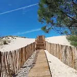 Location Dans Un Airial *