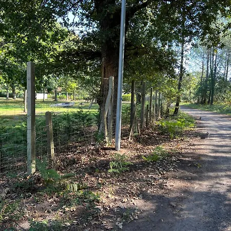 Location Dans Un Airial Séjour à la campagne Mimizan