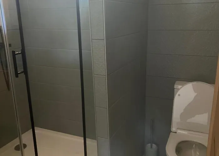 Location Dans Un Airial * Mimizan